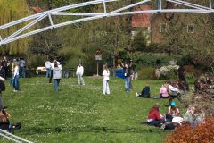 IMG_2780-scaled